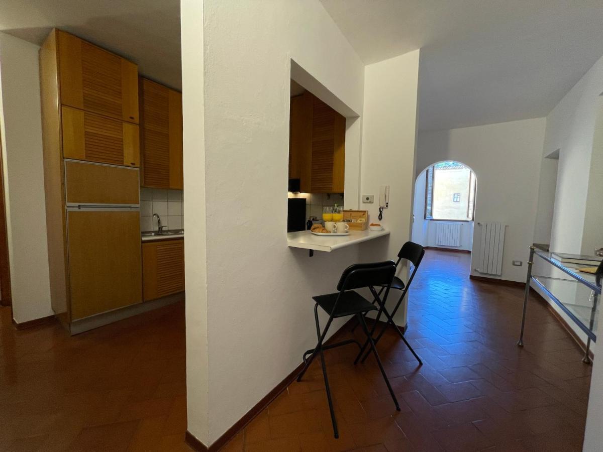 At The Boboli Garden Carola Loft Apartment Florenţa Exterior foto